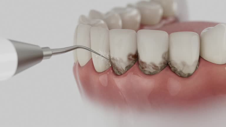 Reliable Dental contractor in White Oak, MS by Dentist Open Now